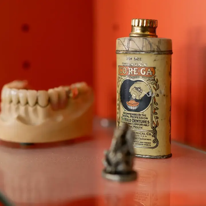 Historisches Gebissmodell in der Vitrine
